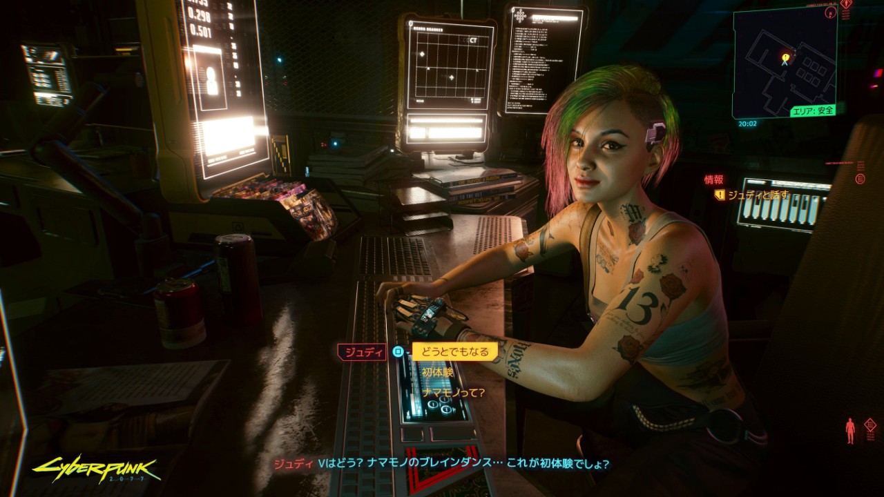 Cyberpunk 2077 bug 03